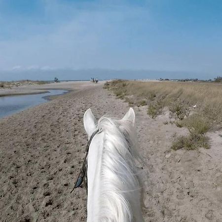 "Le Nature" Camargue Jardin Arles Zewnętrze zdjęcie