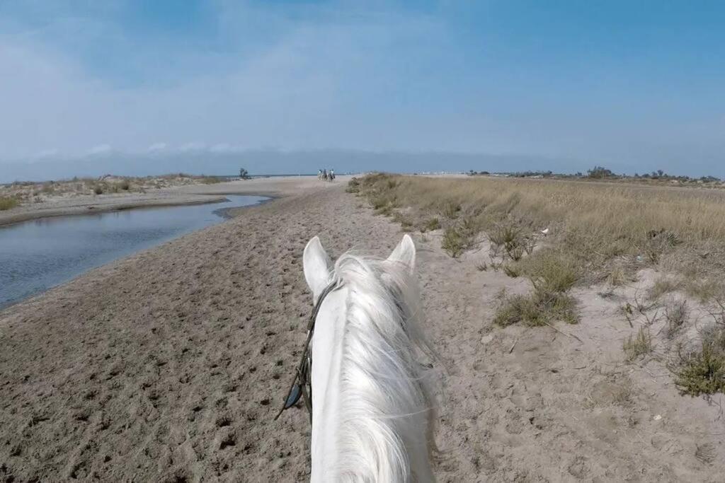 "Le Nature" Camargue Jardin Arles Zewnętrze zdjęcie