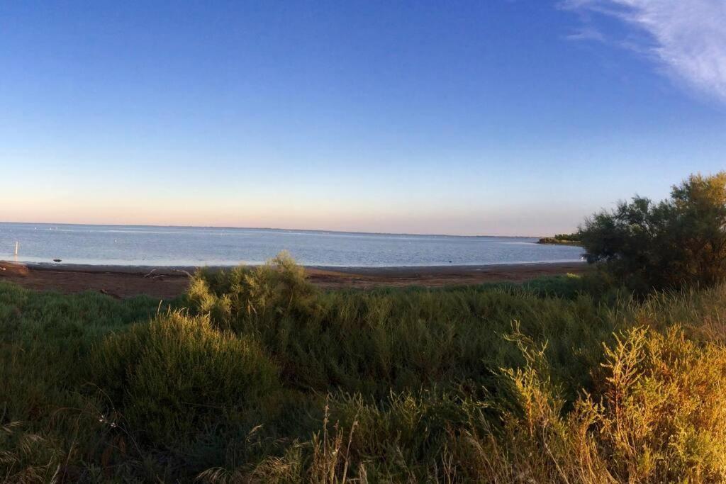 "Le Nature" Camargue Jardin Arles Zewnętrze zdjęcie
