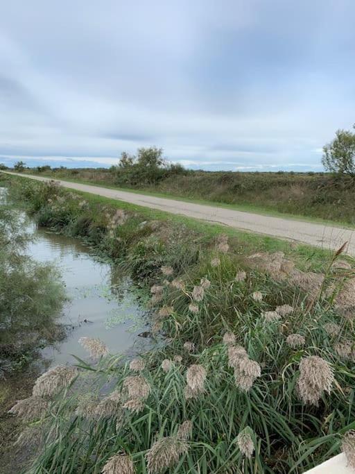 "Le Nature" Camargue Jardin Arles Zewnętrze zdjęcie